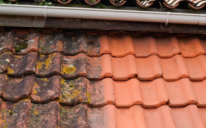 Nettoyage et traitement anti-mousse d'une toiture dans le Val-d'Oise